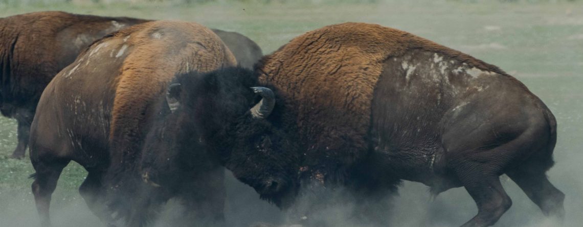 Mediating workplace conflict